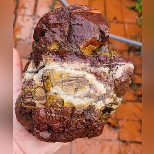 Lapidary rough natural jasper specimen